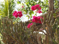 DSC01746.JPG