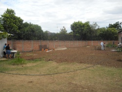 2010 November 008.jpg